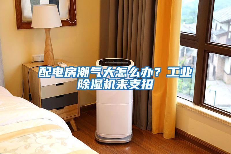 配電房潮氣大怎么辦？工業除濕機來支招