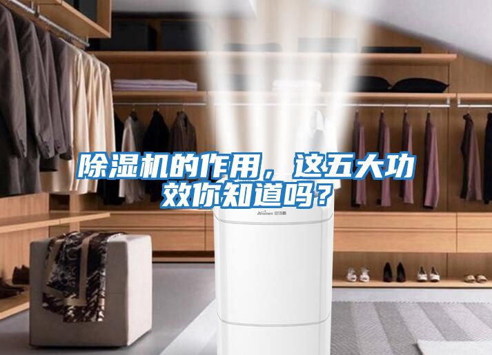 除濕機(jī)的作用，這五大功效你知道嗎？