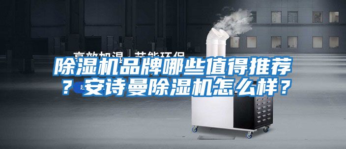 除濕機品牌哪些值得推薦？安詩曼除濕機怎么樣？