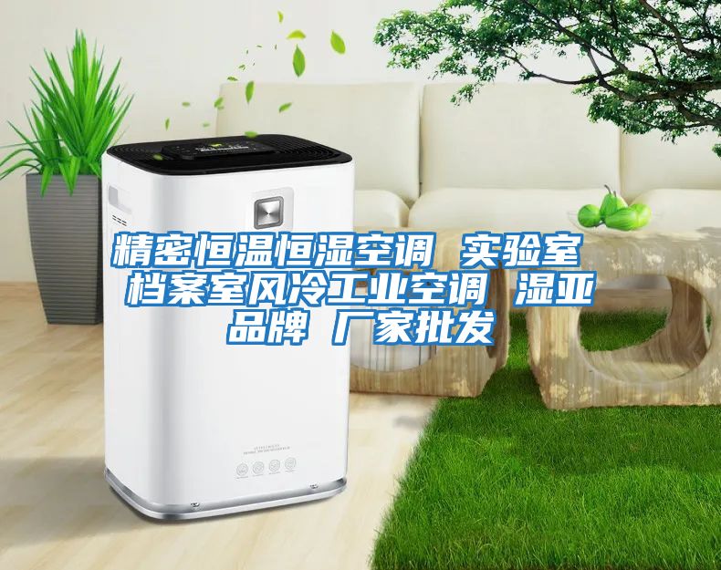 精密恒溫恒濕空調(diào) 實(shí)驗(yàn)室 檔案室風(fēng)冷工業(yè)空調(diào) 濕亞品牌 廠(chǎng)家批發(fā)