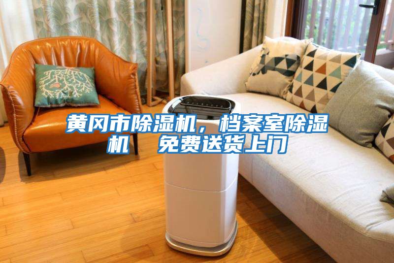 黃岡市除濕機，檔案室除濕機  免費送貨上門