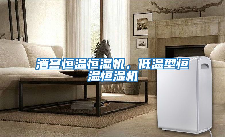 酒窖恒溫恒濕機，低溫型恒溫恒濕機
