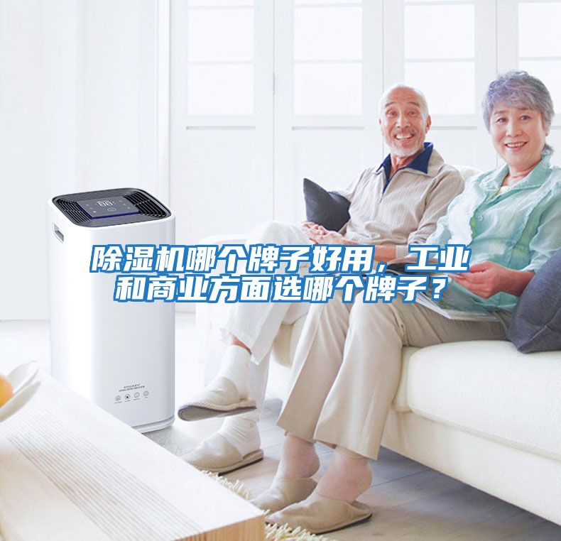 除濕機哪個牌子好用，工業和商業方面選哪個牌子？