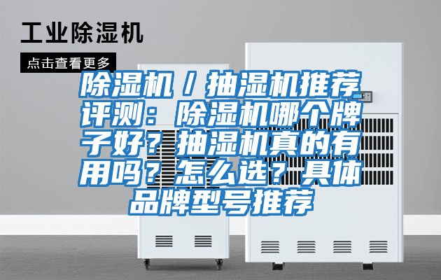 除濕機／抽濕機推薦評測：除濕機哪個牌子好？抽濕機真的有用嗎？怎么選？具體品牌型號推薦