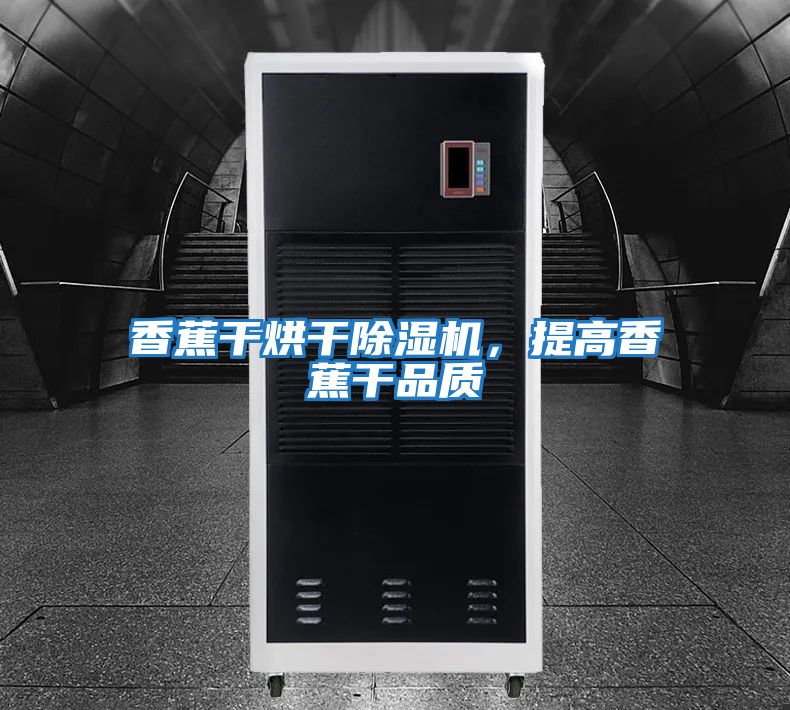 香蕉干烘干除濕機,提高香蕉干品質(zhì)