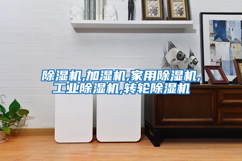 除濕機,加濕機,家用除濕機,工業除濕機,轉輪除濕機