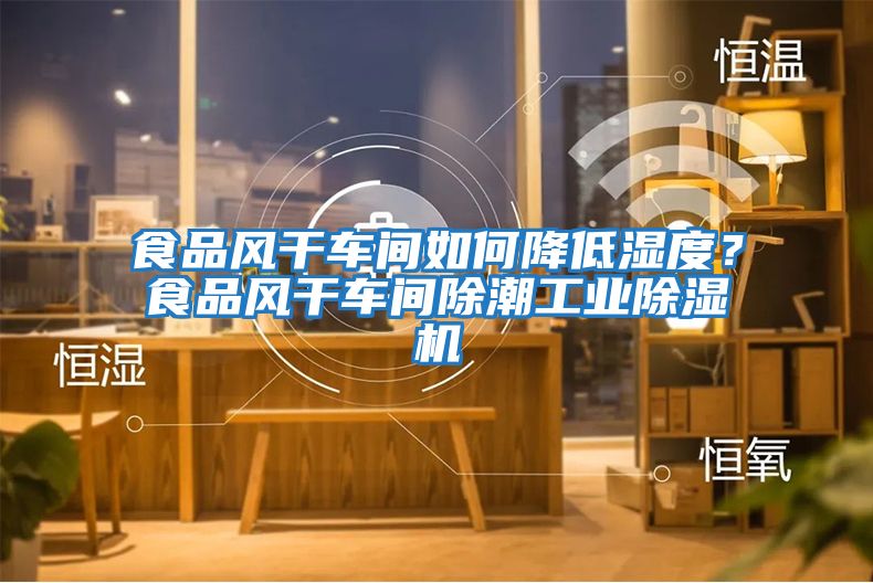 食品風(fēng)干車間如何降低濕度？食品風(fēng)干車間除潮工業(yè)除濕機
