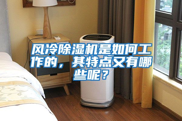 風冷除濕機是如何工作的，其特點又有哪些呢？