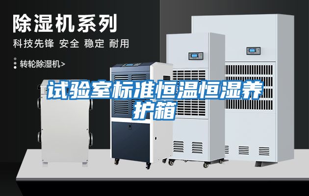 試驗室標準恒溫恒濕養護箱