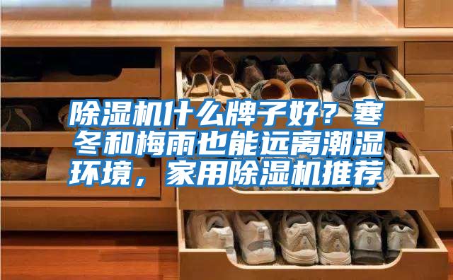 除濕機什么牌子好？寒冬和梅雨也能遠離潮濕環(huán)境，家用除濕機推薦