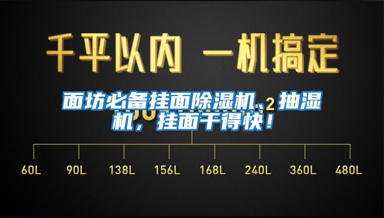 面坊必備掛面除濕機、抽濕機，掛面干得快！