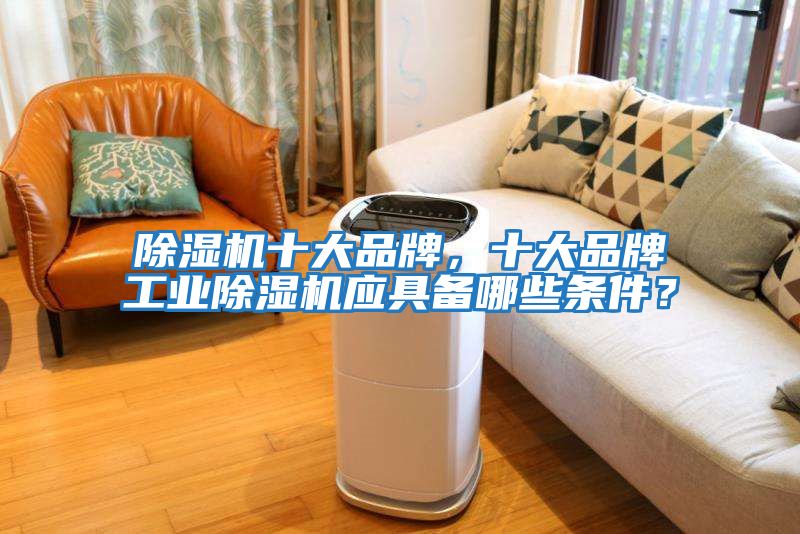 除濕機十大品牌，十大品牌工業(yè)除濕機應(yīng)具備哪些條件？