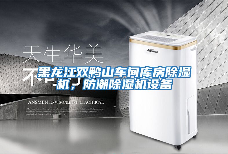 黑龍江雙鴨山車間庫房除濕機，防潮除濕機設(shè)備
