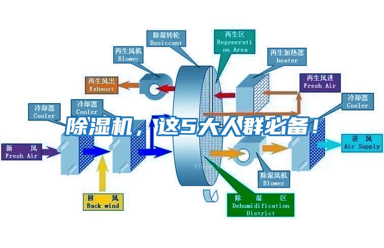 除濕機，這5大人群必備！