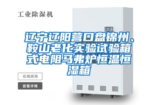 遼寧遼陽營口盤錦州、鞍山老化實驗試驗箱式電阻馬弗爐恒溫恒濕箱