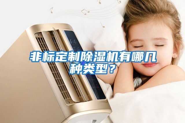 非標定制除濕機有哪幾種類型？