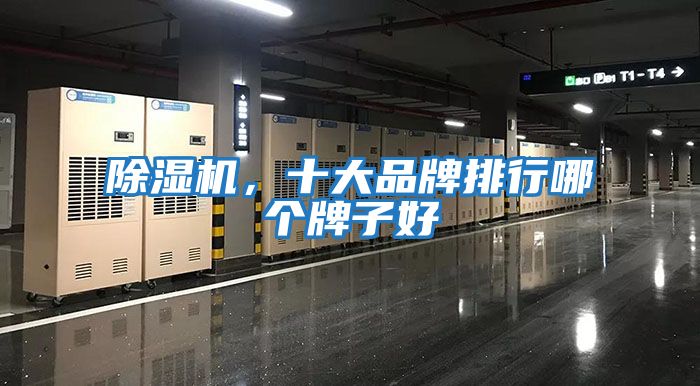 除濕機，十大品牌排行哪個牌子好