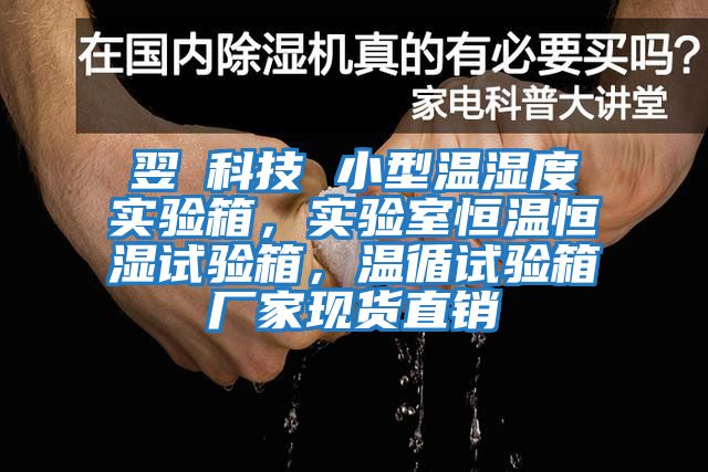翌昇科技 小型溫濕度實驗箱，實驗室恒溫恒濕試驗箱，溫循試驗箱廠家現(xiàn)貨直銷