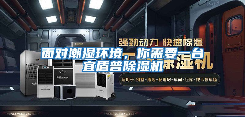 面對潮濕環境，你需要一臺宜盾普除濕機