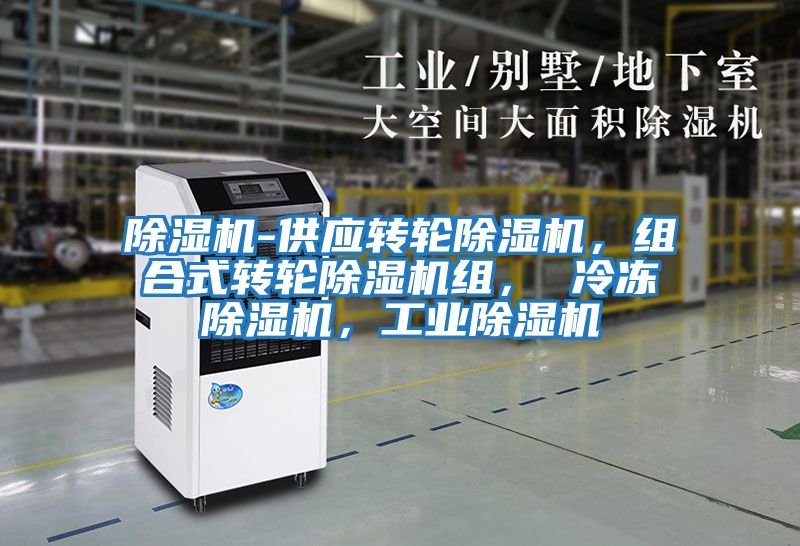 除濕機-供應(yīng)轉(zhuǎn)輪除濕機，組合式轉(zhuǎn)輪除濕機組， 冷凍除濕機，工業(yè)除濕機